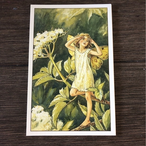 Garden Flower Fairies by: Cicely Mary Barker postcard set #14 - Picture 5 of 7